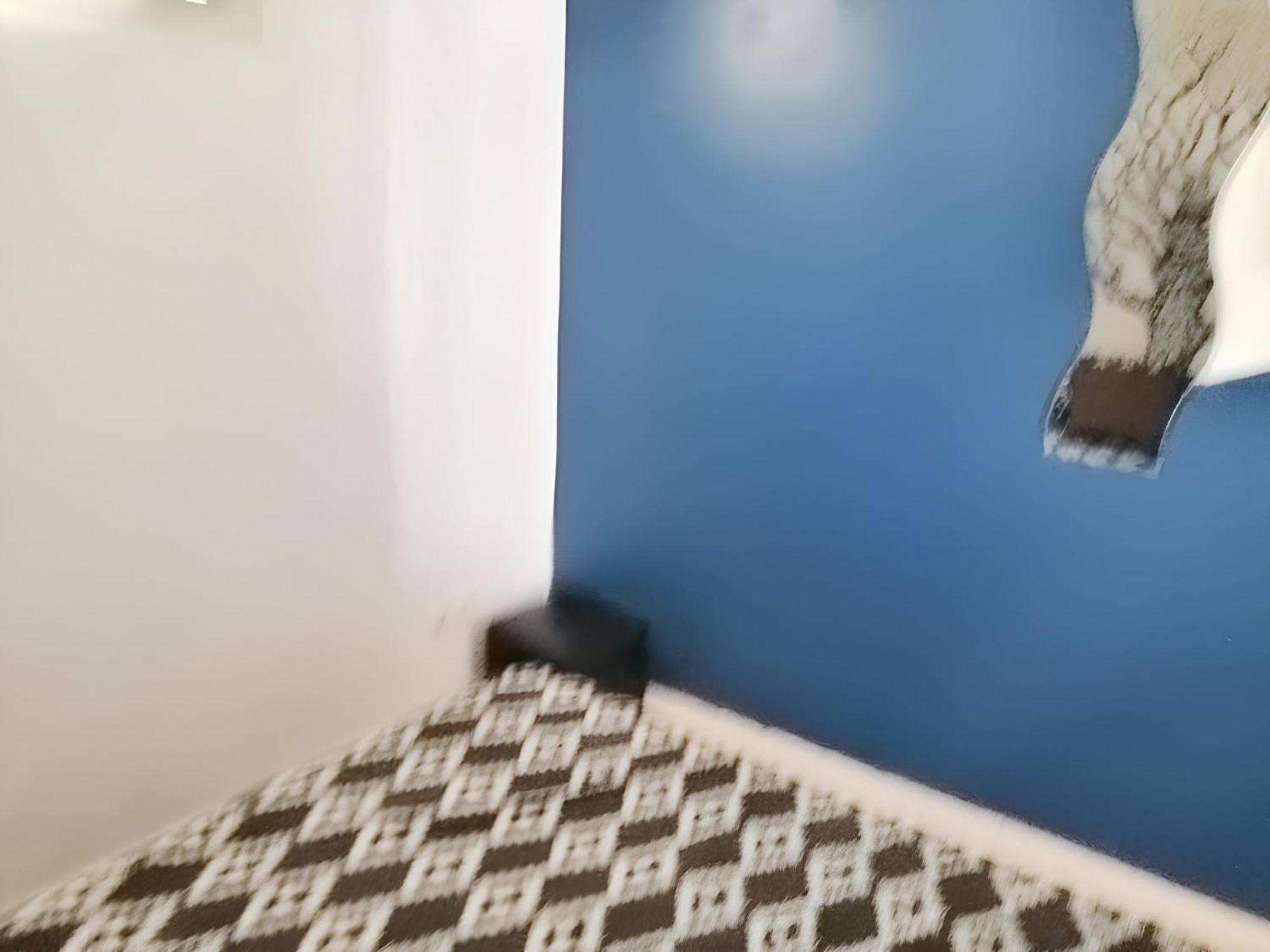 Apartment Charming In 40 M² Ideal For A Couple Lissabon